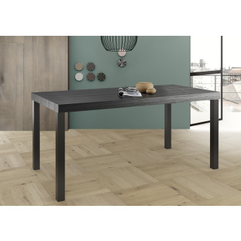 ACIER - Table 189 cm