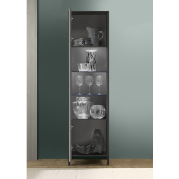 Vitrine STEEL 1 porte