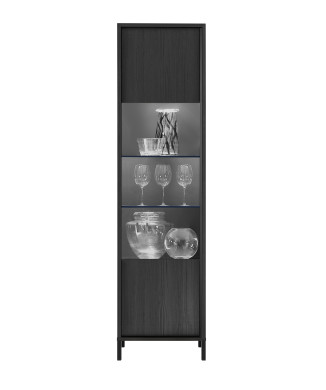 Vitrine STEEL 1 porte