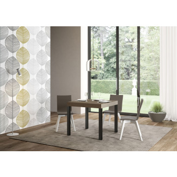 Table Everyday Premium pieds anthracite D.90 - Table extensible 90x90/246 cm Everyday Premium Frêne Blanc pieds anthracite