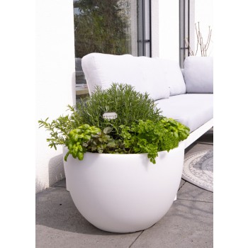 Vase Lumineux Sinueux XM 32056 Design 8 Saisons